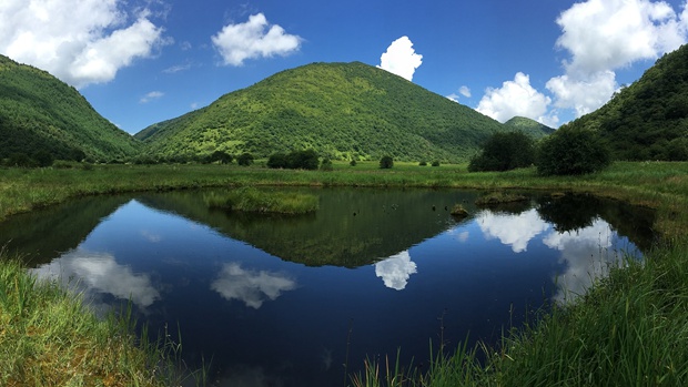 Chongqing nature reserve added to Shennongjia world heritage site