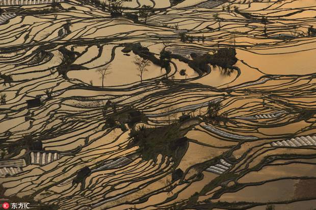 Breathtaking terraced rice fields scenery in SW China