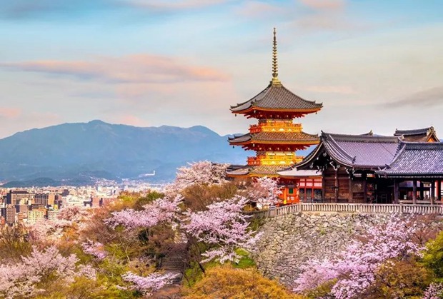 京都丨日本