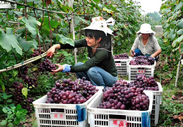 Rural destination a draw for holiday getaway