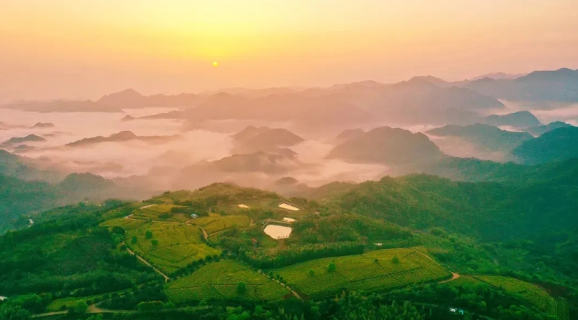 脚下的土地，都是600年前 那位老人玩剩下的