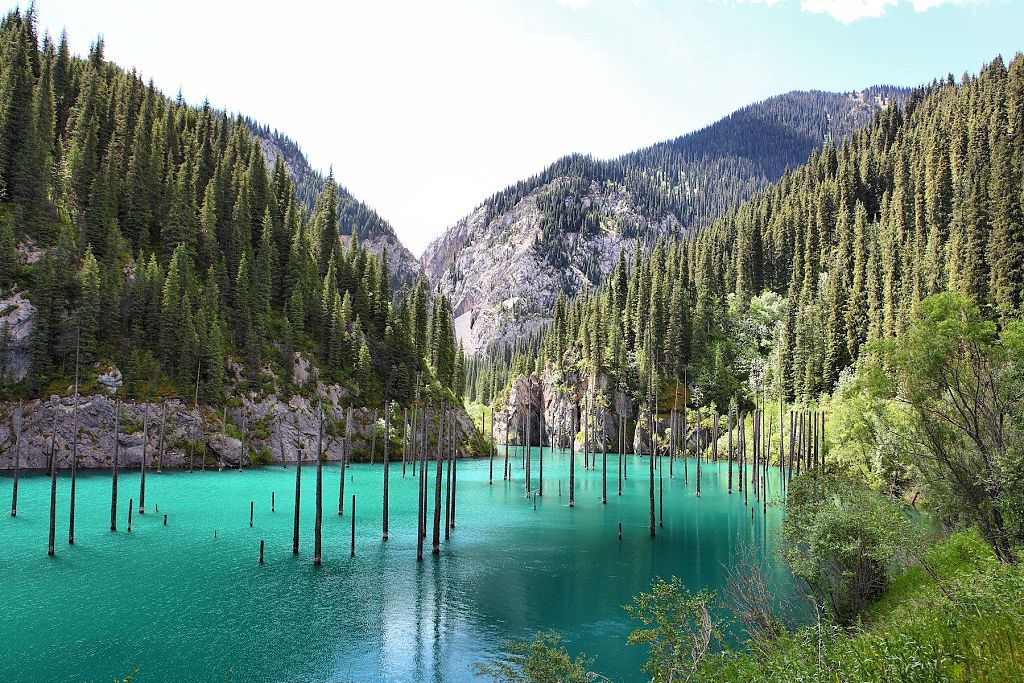 Amazing Sunken Forest in Kazakhstan