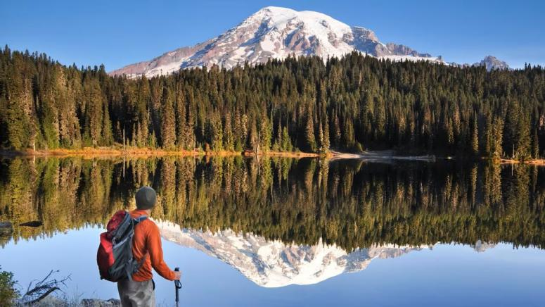 Global tourism shift: China and U.S. slow down while India rises