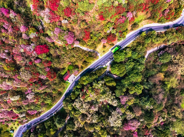 UN Tourism and International Baccalaureate Organization partner to grow tourism education at high school level