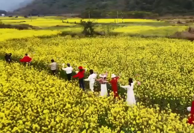 春暖花开踏青来