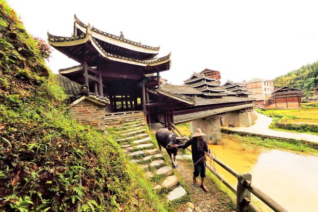 从旅游到旅居 康养旅游开启活力新场景