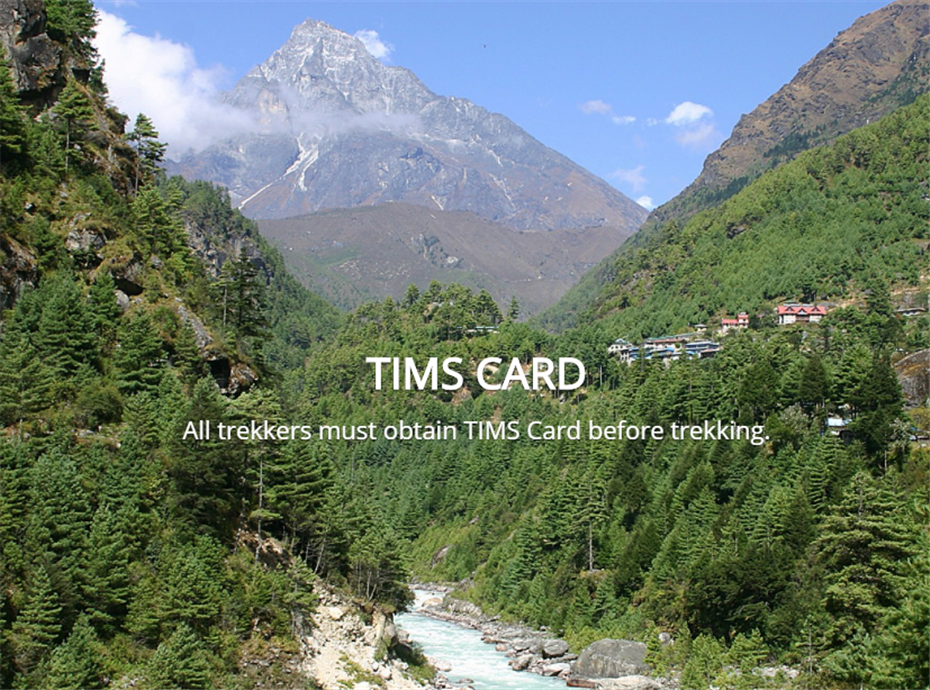 TIMS CARD