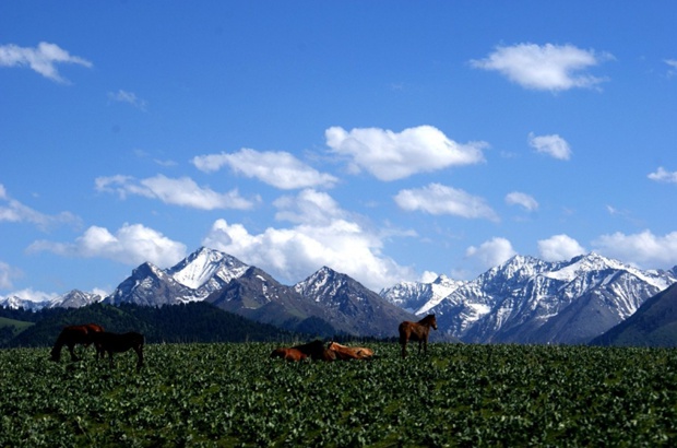 天山