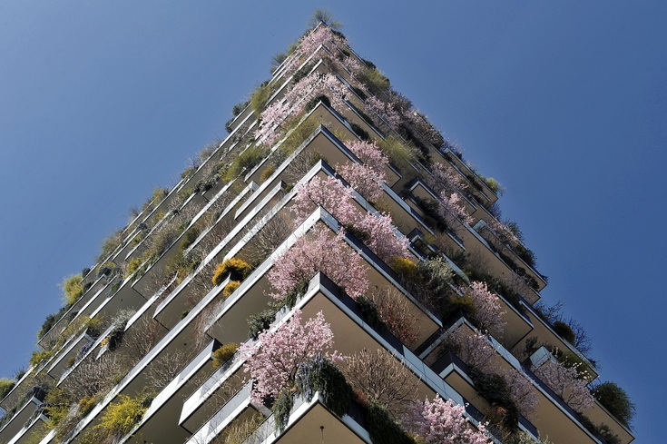 Springtime Blossoms in Milan_fororder_Bosco Verticale